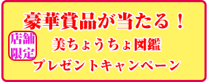 書店キャンペーン開催！
