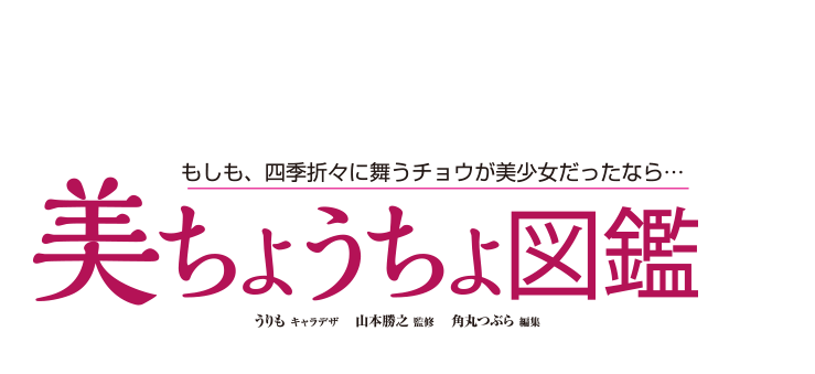 美ちょうちょ図鑑
